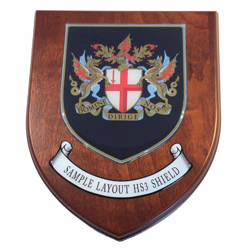 Presentation shield with shield shaped centrepiece and scroll.